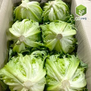 국내산 양상추 벌크 12통 1box, 12개, 200g