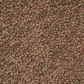 S.N. FOOD Bown Whole Lentils(브라운렌즈콩) 캐나다렌틸콩 900g/1팩, 900G, 1개