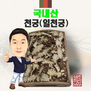 국내산 천궁 100g (경북 영천) 국산, 1개