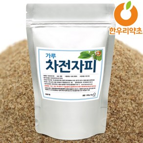 차전자피 가루 식이섬유 분말, 차전자피가루300g, 1개, 300g