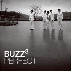 버즈(Buzz) - 3집 퍼펙트 [Pefect] (LP) Remasteed By Yejeon(22년)