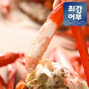 [선주직송] 포항 구룡포 연지홍게 B품 C품 실속형 자숙홍게 제철홍게, 1개, 3kg(C급 수율 50% 내외)