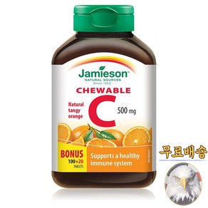 미국산 자미에슨 츄어블 비타민C 500mg 오렌지맛 120정 아스코르브산 Jamieson Chewable Vitamin C 선물증정, 1개