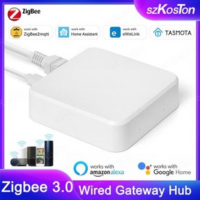 스마트 홈 ZigBee 3.0 유선 게이트웨이 허브 eWeLink APP 제어 RJ45 이더넷 브리지는 홈 어시스턴트 Tasmota Zigbee2MQTT와 함께 작동합니다., Tasmota MQTT, 02 Tasmota MQTT, eWeLink 앱