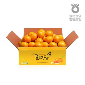 [제주 중문농협] 귤로장생 고당도 노지 조생 감귤 대과 10kg, 1개