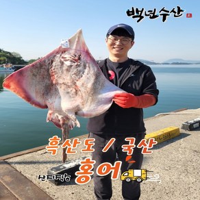 목포백년수산 흑산도홍어 국산홍어회 삭힌홍어250g 500g 1kg이상 (홍어애+홍어뼈+무료배송), 국산홍어250g중