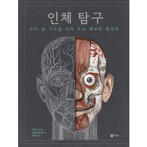 인체 탐구:우리 몸 구조를 보여 주는 해부학 팝업북, 비룡소