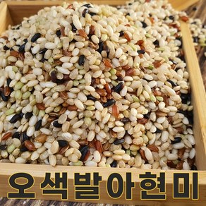 밥보야 24년산 국산 오색현미 1kg 오색발아현미 오색미, 1개