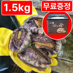 [활전복 산지직송] 완도 직거래 전복선물세트 왕특대, 1개, 왕특대(15-17미) 1.5kg