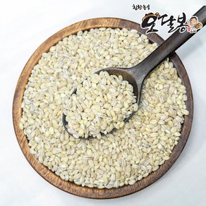 힘찬농부 국산 늘보리 늘보리쌀, 1개, 5kg