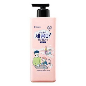 세균아 꼼짝마 항 균 핸드워시 480ml 용기 파우더향 [WB134CC], 1개