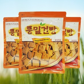 건강한 간식 시골생활 통밀 현미건빵, 6개, 150g