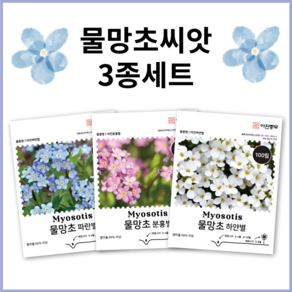 [주주씨앗] 물망초씨앗 100립 3봉세트 화이트 핑크 블루 분홍색 하얀색 파란색 하늘색 꽃씨앗 종자 씨 물망초씨, 3개