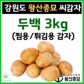 왕산종묘 두백 씨감자 [ 두백 3kg ] 쪄먹는감자 분감자 튀김용 감자 감자씨앗 햇감자 정품씨감자 대서 두백 홍영 자영 백작 왕산 수미 씨감자 강원도 씨감자, 두백 3kg ( 쪄먹는 감자 / 튀김용 감자), 1개