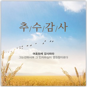 추수감사절 현수막 - 추수감사 27075BLD