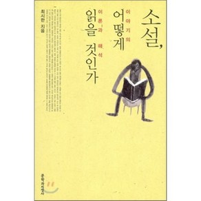 소설 어떻게 읽을 것인가:이야기의 이론과 해석