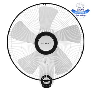 리웨이 데일리 벽선풍기 가정용 줄당김형
