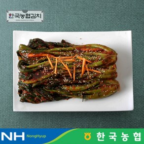 [한국농협김치] 전라도 순천 남도 갓김치 3kg, 1개