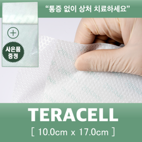 [테라셀] 자극 없는 실리콘 반창고 10cm x 17cm 1개 /욕창/피부연화