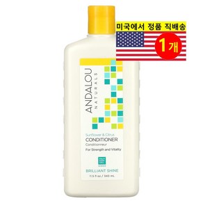 Andalou Natuals 모발 두피 관리 스트렝스 해바라기 시트러스 헤어 컨디셔너, 1개, 340ml