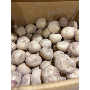 [꼬미농산] 국내산 신선하고 맛있는 수미 햇 감자 2kg 3kg, 1박스, 2kg중