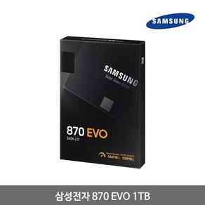 삼성전자 870 EVO 1TB