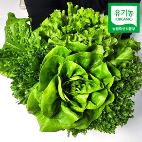 산지직송 유기농 유러피안 샐러드 채소(3-4종), 1개, 1kg