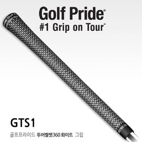 골프프라이드 GTS1 투어벨벳360화이트 골프그립 드라이버 우드 아이언공용, (74R)GTS1, 1개