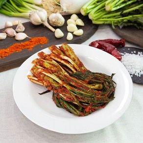 [빛고을김치] 전라도 갓파김치 1kg 당일생산 국내산100% 완벽비율조합, 1개