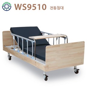 의료용 환자용 가정용 병원침대 편백나무 1모터 전동침대(WS9510) 매트포함 공장직영전국무료배송설치 서울경기 3~5일 내 배송 가능