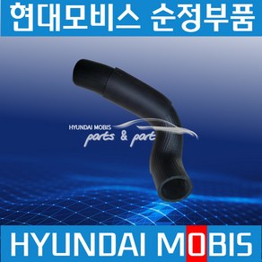 뉴파워트럭 파워택 트라고 엑시언트 워터펌프 상호스 2542984003, 1개