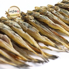 [가온애] 줄노가리 20미, 1개