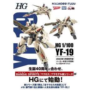 [반다이] HG 1/100 마크로스 플러스 YF-19, 1개