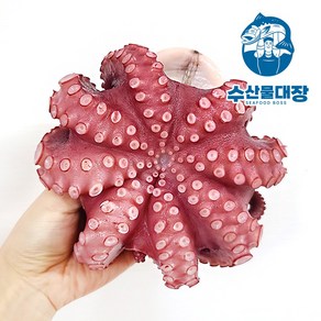 프리미엄급 자숙 통문어 300-1.3kg (소/중/특대) 손질문어 냉동문어 제수용 숙회, 자숙문어 소, 1개