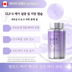 GLP-s 지엘피 유산균 비만치료제 치커리 이눌린 효능, 1개, 60정