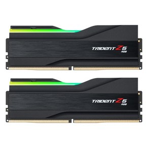 G.SKILL G.SKILL DDR5-6600 CL34 TRIDENT Z5 RGB 패키지 (32GB(16Gx2)), 2개