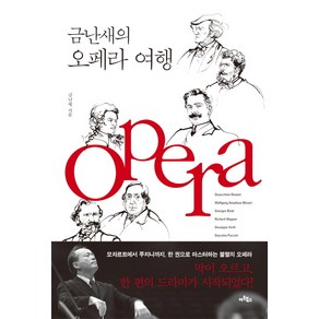 금난새의 오페라 여행:오페라 여행을 위한 단 한 권의 완벽 가이드