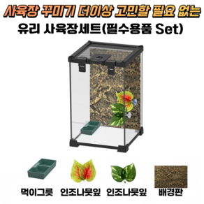 아스티렙 크리스티드 게코 도마뱀 파충류 은신처 유리사육장 세트 1개, 투명 20×20×30CM