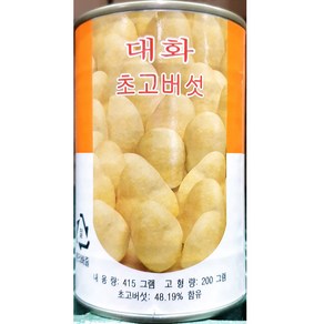 초고버섯캔 단풍 425g 업소용 버섯 통조림 식당