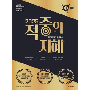 2025 적중의 지혜(봉투):실전에 강한 모의고사, 아람출판사