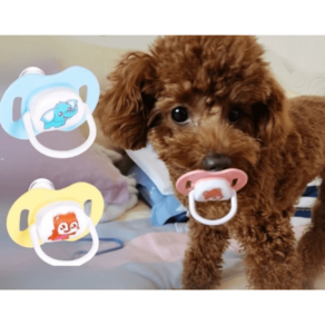 1+1 강아지쪽쪽이 애완용 젖꼭지 고양이 이갈이 공갈 치석제거 애견 장난감, 블루+옐로우, 1개