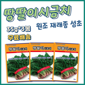 주주씨앗 땅딸이시금치 씨앗 35g 3봉 겨울 월동 재래종 섬초 종자 씨