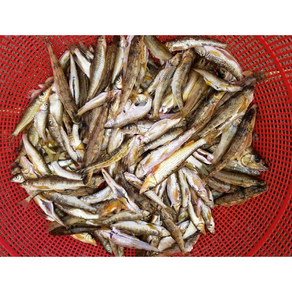 형구네 민물고기 강원도 손질 잡고기 자연산 매운탕거리, 1개, 500g x