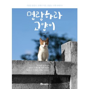 명랑하라 고양이:가끔은 즐겁고 언제나 아픈 끝없는 고행 속에서도, 북폴리오, 이용한