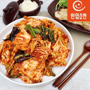 한입소반 직접담근 전라도식 맛김치 1kg, 1개