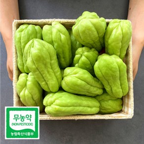 무농약인증 아삭아삭 경북 상주 햇 차요테 특품, 1박스, 3kg