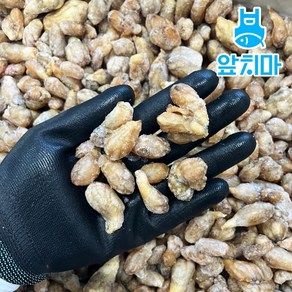 국내산 냉동 오만둥이 대용량, 1개, 10kg