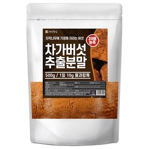 건강중심 20배 차가버섯 추출 분말, 1개, 500g