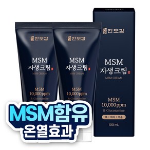 한보감 MSM자생크림 스포츠 리커버리 글루코사민크림, 2개, 100ml