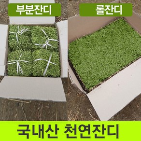 천연잔디 (전남 장성군)부분잔디/20장/롤잔디2장/박스포장/무료배송